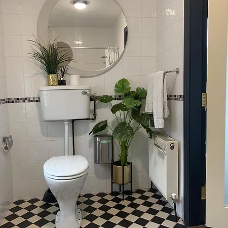 بيت خشبي Isserkelly House