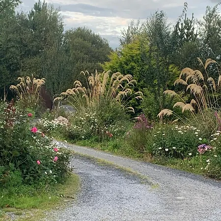 Isserkelly House אכסניה Clonbur